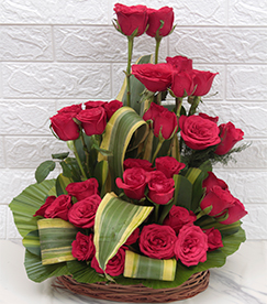 Elegant Roses