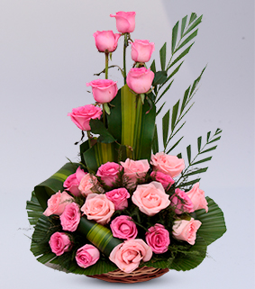 Aphrodite Pink