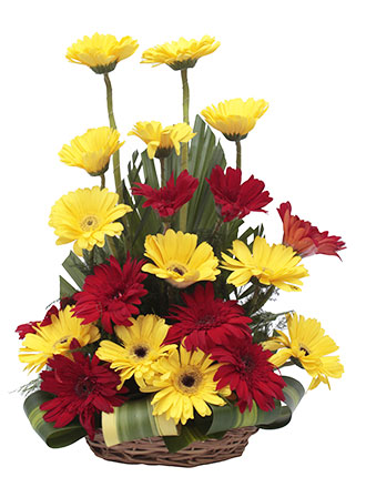 Full Bloom